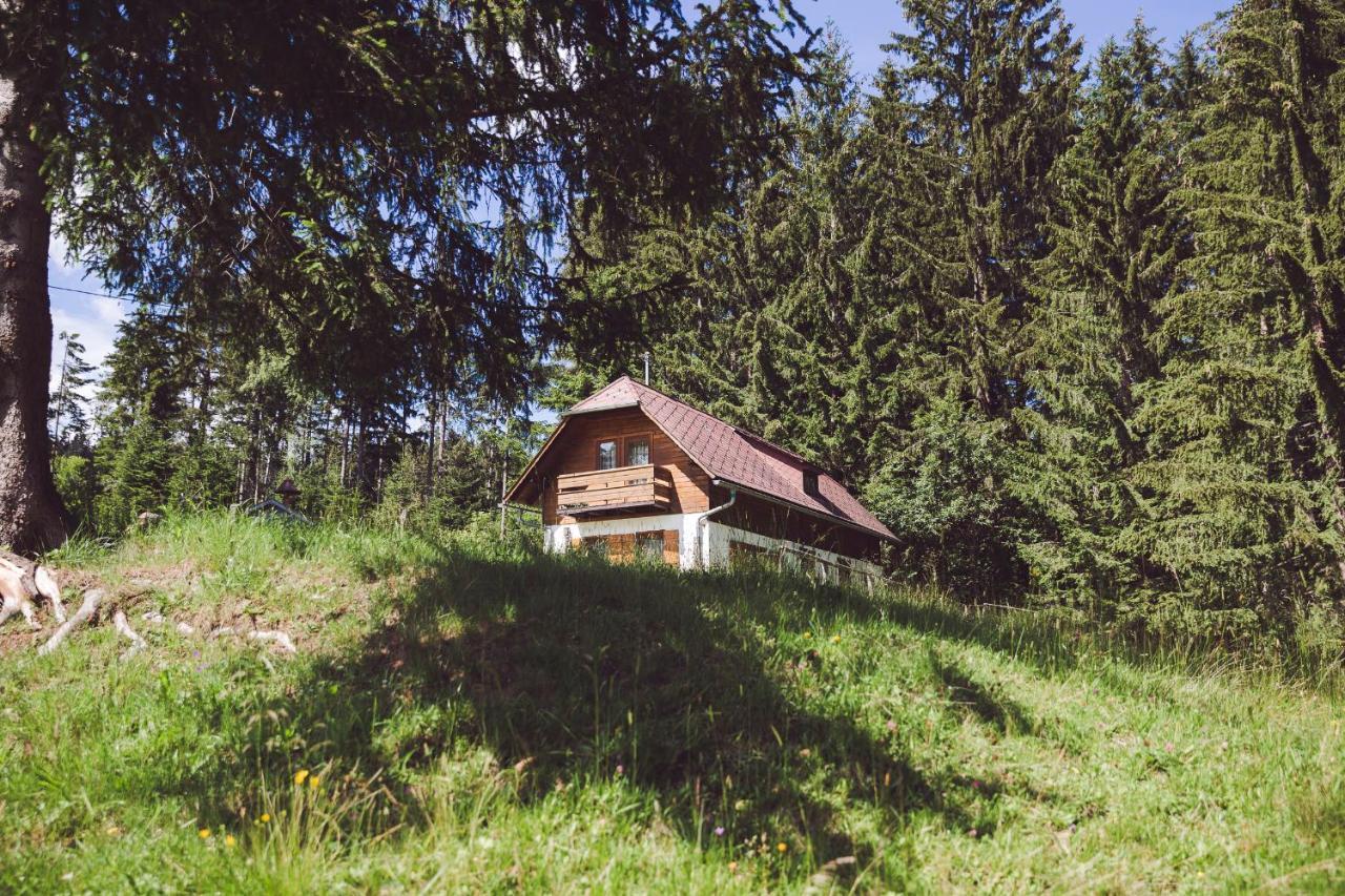 Moosbacher-Huette Aichberg Екстериор снимка